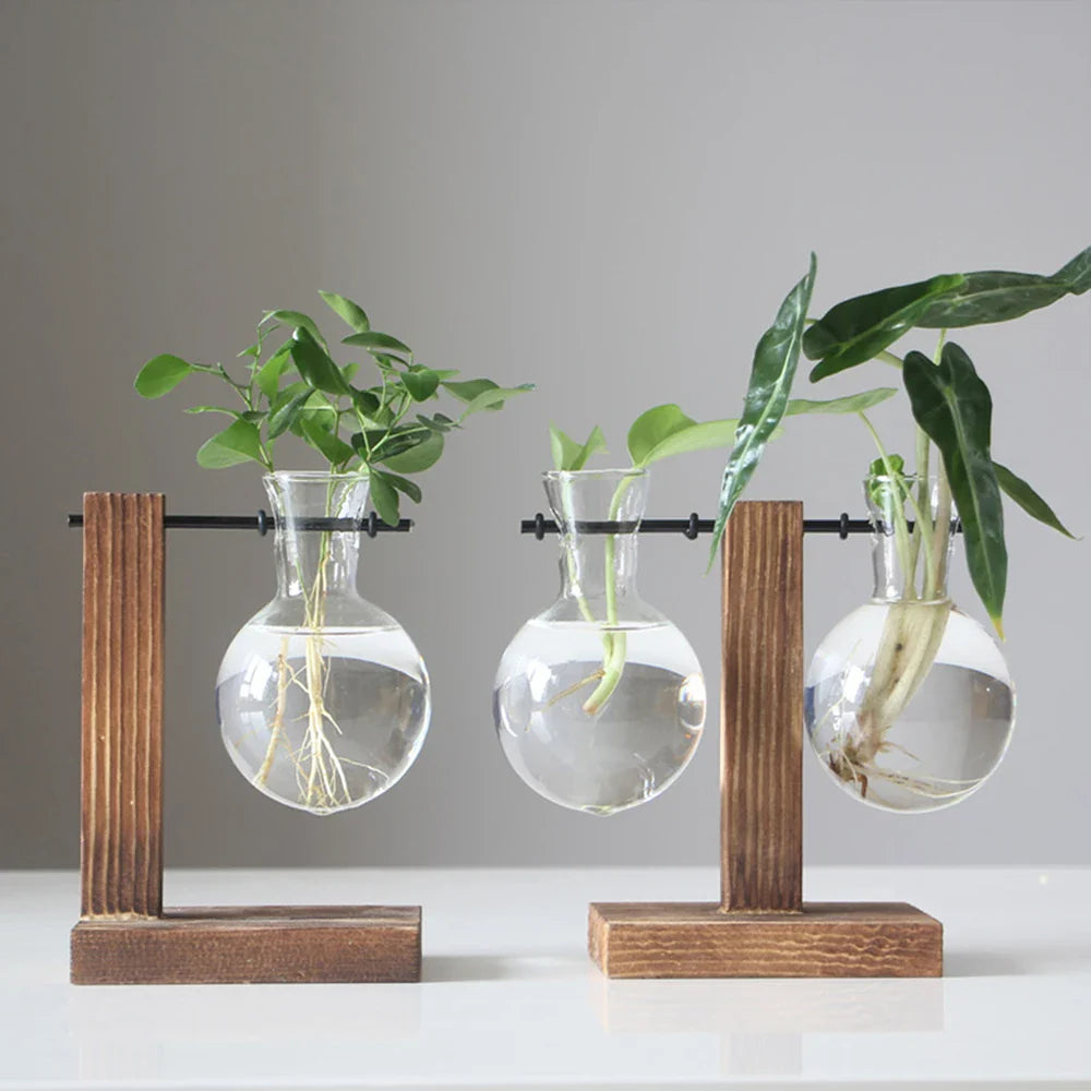 Vase pour plantes dans l'eau