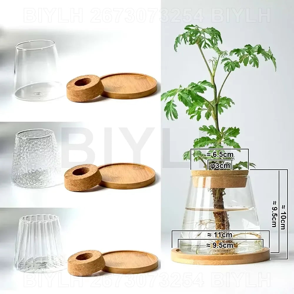 Lot de 2 pots de fleurs en verre transparents pour plantes hydroponiques, avec soucoupe intégrée et accessoires de jardin. Décoration intérieure.