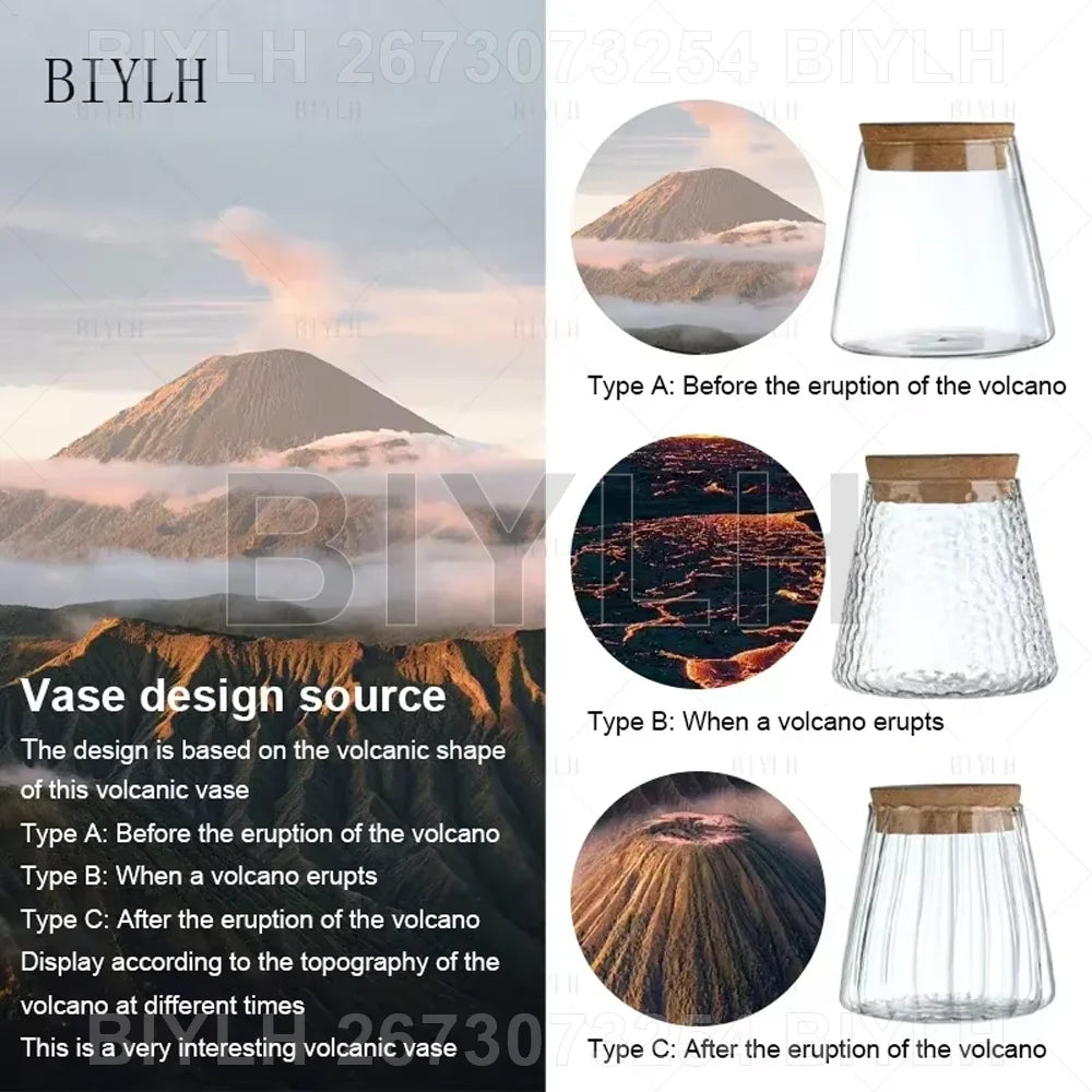 Lot de 2 pots de fleurs en verre transparents pour plantes hydroponiques, avec soucoupe intégrée et accessoires de jardin. Décoration intérieure.
