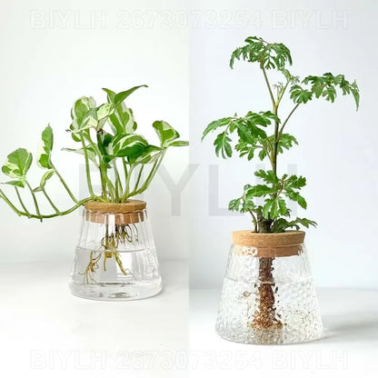 Lot de 2 pots de fleurs en verre transparents pour plantes hydroponiques, avec soucoupe intégrée et accessoires de jardin. Décoration intérieure.