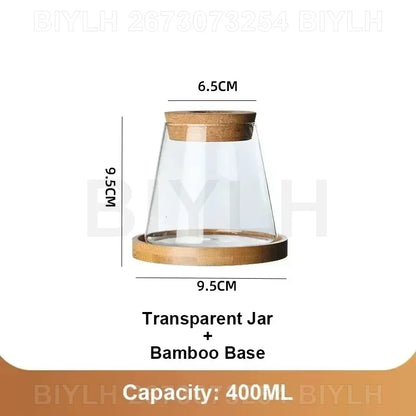 Lot de 2 pots de fleurs en verre transparents pour plantes hydroponiques, avec soucoupe intégrée et accessoires de jardin. Décoration intérieure.