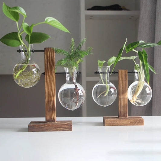 Vase de table créatif en verre avec support en bois pour plantes hydroponiques, décoration de table.